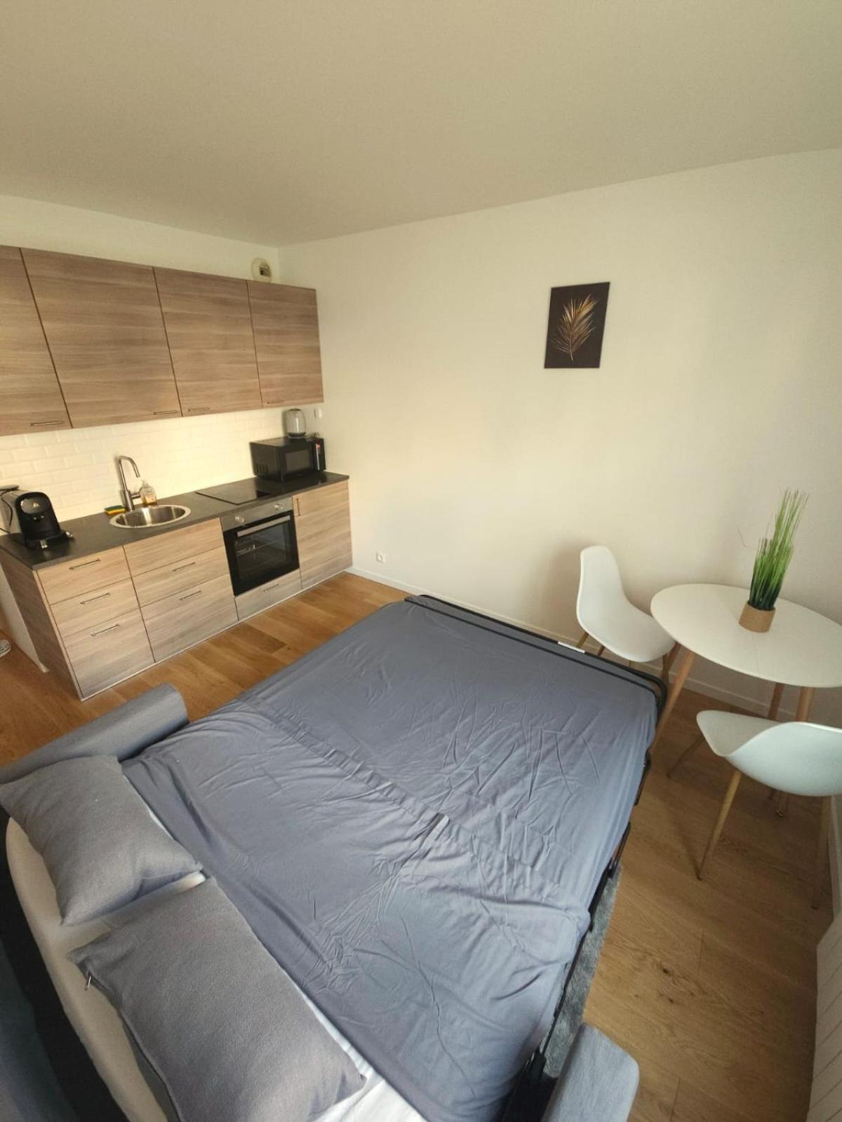 Appartement Elegant Lumineux, *